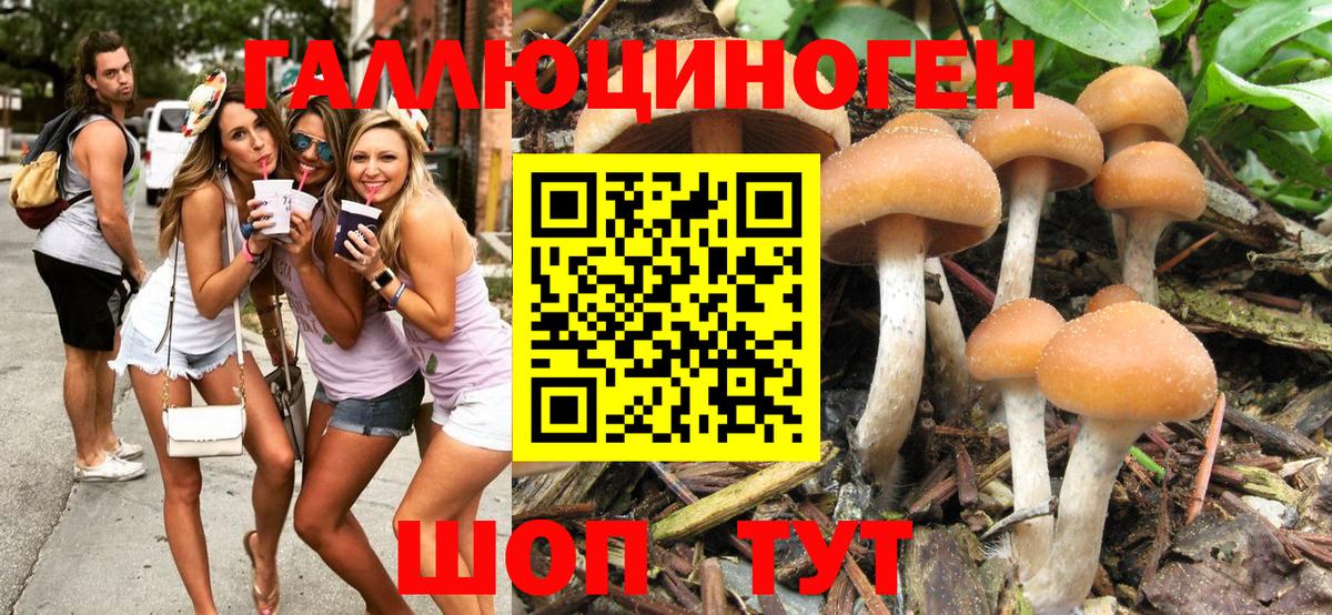 Псилоцибиновые грибы Magic Shrooms Шебекино